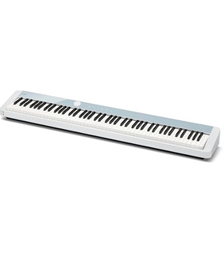 美品　CASIO カシオ 純正 ソフトケース SC-800P 電子ピアノ対応 Amazon | CASIO(カシオ) 純正 ソフトケース SC-800P [電子ピアノ